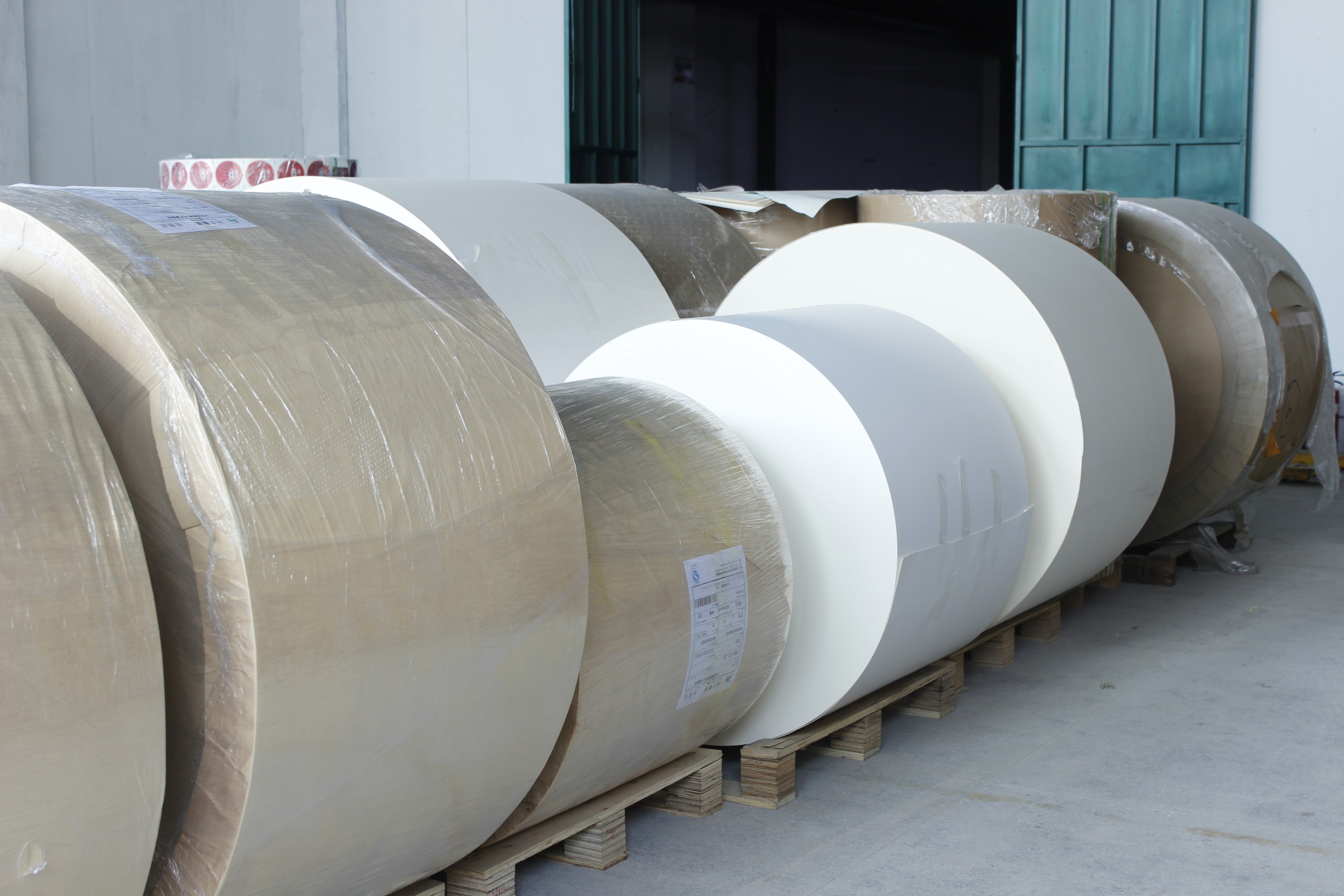 China Guangzhou Victory Paper Products Co., Ltd. Perfil de la compañía