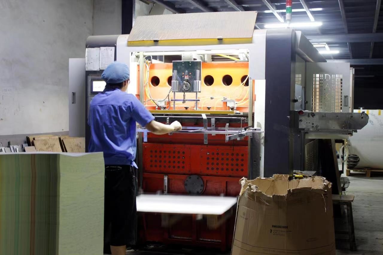 China Guangzhou Victory Paper Products Co., Ltd. Perfil de la compañía