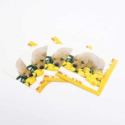 Servicios de papel personalizados de impresión